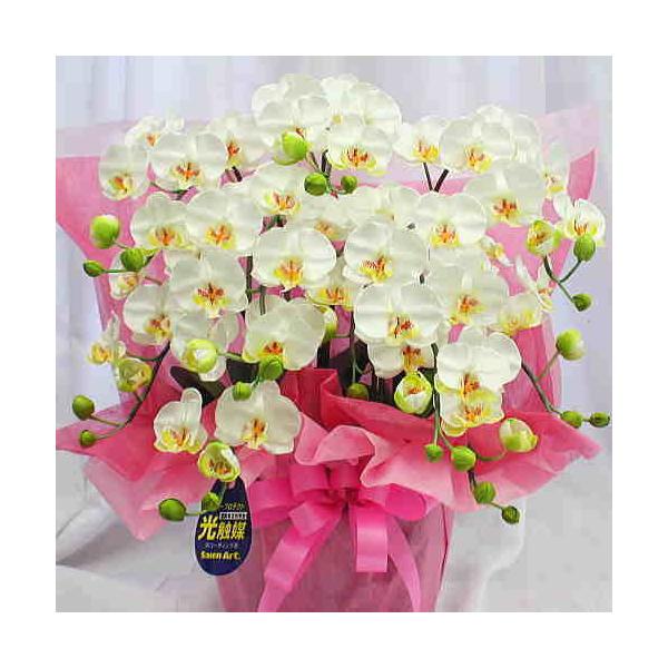 Ӓ ~fBn F 5{ G}Hiԁj STCY @