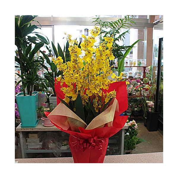 IVW[A@픫@G} Hiԁj@6{ĉF