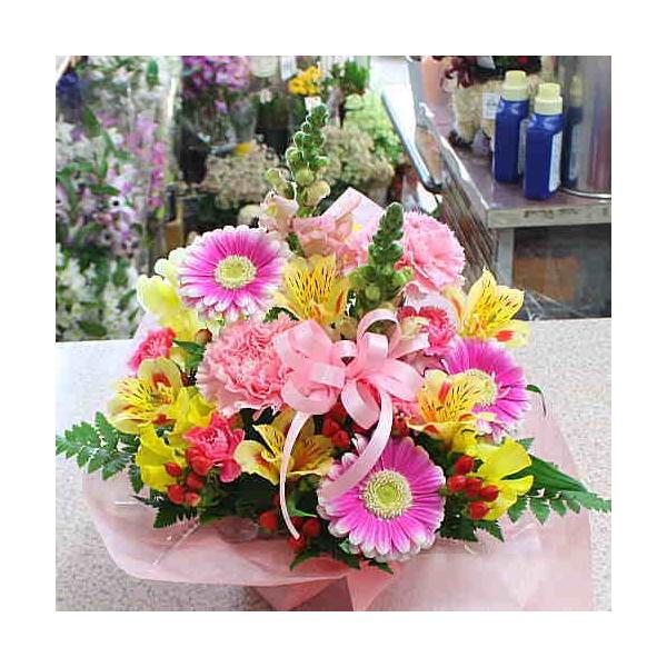 t[AWg@IWiiiF܂jav[gEސEȂǂ̂jԃMtg