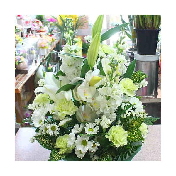  t[AWg  IWiiiF܂j@E@v̕OɁ@