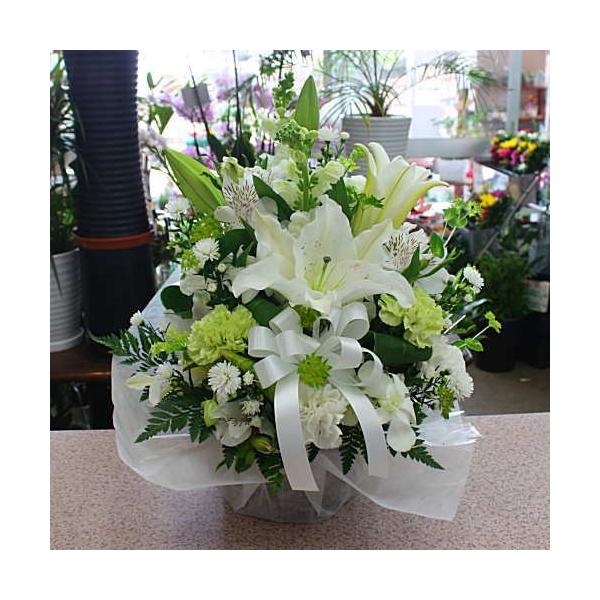  t[AWg  IWiiiF܂j@E@v̕OɁ@