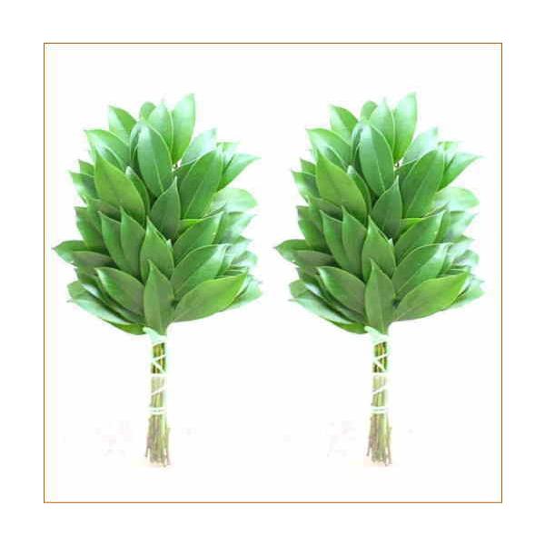 TJLi{j Y 1΁i2j ̔ _I₨חlɂ