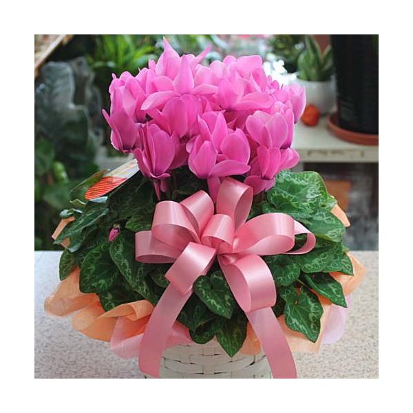 VN sNn@5A@قt@~̔Ԃ͒av[g₨ΕMtg