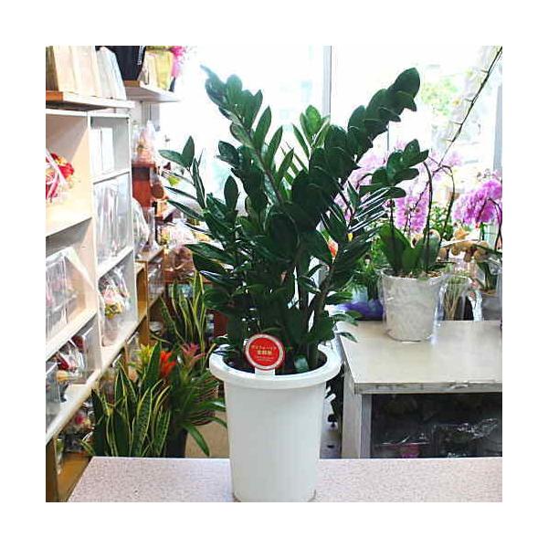 ϗtA@U~AFU~INJX@7Ay80TCYz