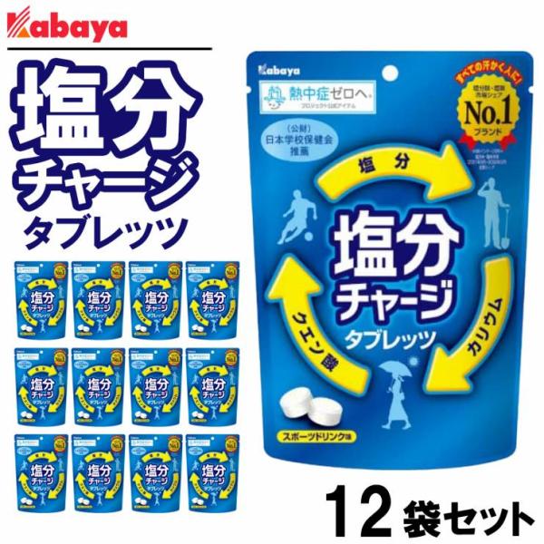 宅配便 送料無料 カバヤ 塩分チャージタブレッツ スポーツドリンク 81g×12個
