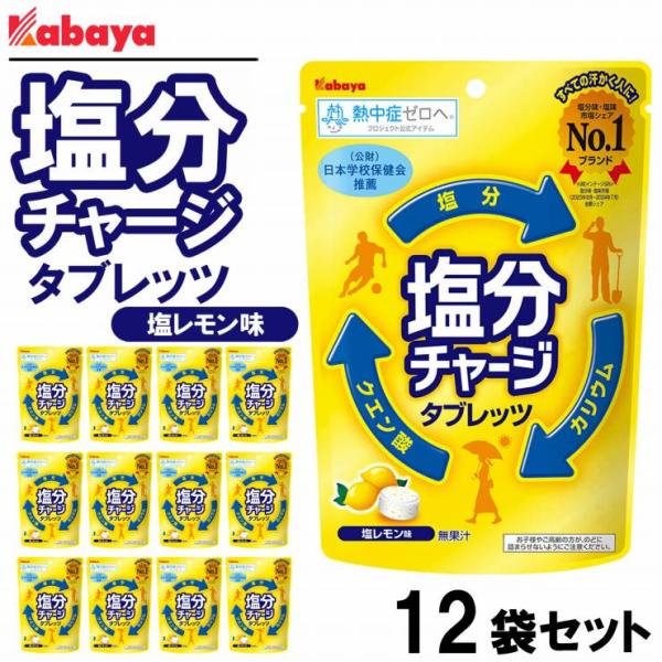 宅配便 送料無料 カバヤ 塩分チャージタブレッツ 塩レモン 81g×12個