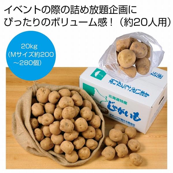 高級ジャガイモ　特売　20kg 20キロ　02 高級ジャガイモ 特売 20kg 20キロ 02