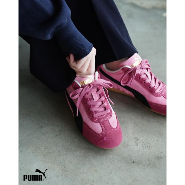 crouka_puma-398846