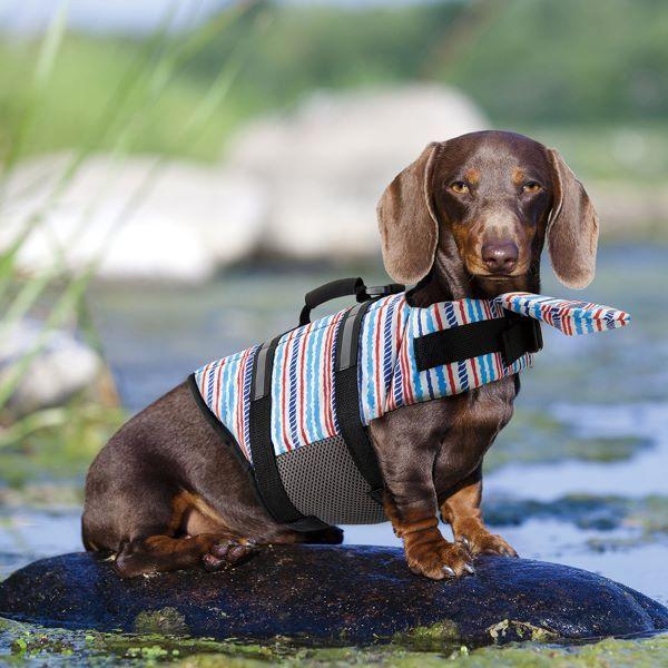 犬用ライフジャケットダックス ペット ペットグッズ お気に入りアイテムをfavoしよう Favofavoitems