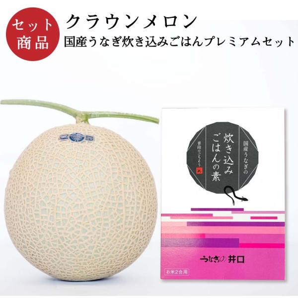 クラウンメロン×国産うなぎ炊き込みごはんプレミアムセット(クラウンメロン山等級1玉×国産うなぎ炊き込みごはんの素×1) 静岡クラウンメロン ギフト 贈答