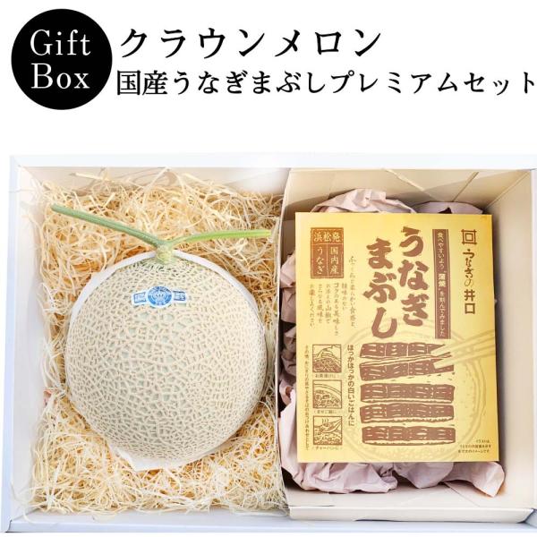 【ギフト】クラウンメロン×国産うなぎまぶしプレミアムセット(クラウンメロン山等級1玉×国産うなぎまぶし×1)  静岡クラウンメロン うなぎ お歳暮
