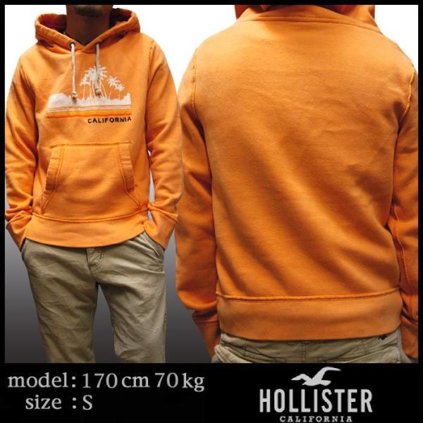 ホリスター Hollister メンズパーカー トレーナー 通販 人気ランキング 価格 Com