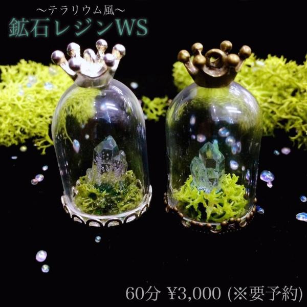 店舗ｗｓレシピ 鉱石テラリウム Carecipe 0005 Crystal Aglaia 通販 Yahoo ショッピング
