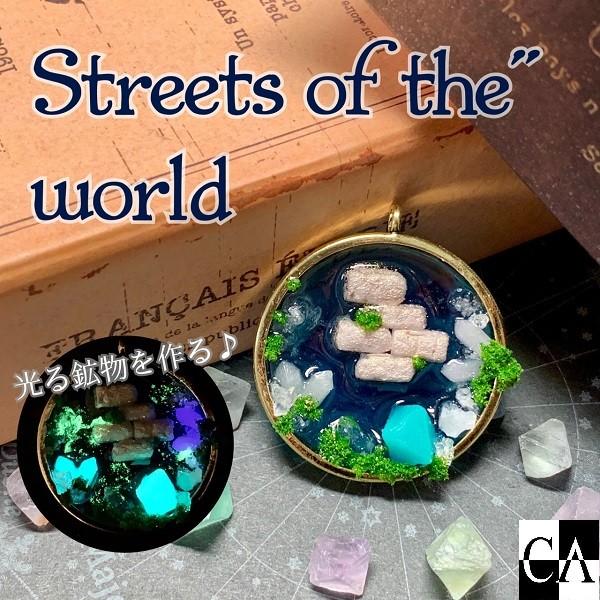 �y�X�܂v�r���V�s�zStreets of the World WS
