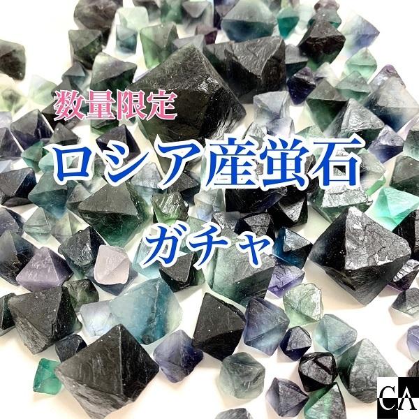 限定ガチャ】大パック！蛍石八面体＜ロシア産＞【数量限定】 : Crystal