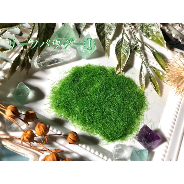 リーフパウダー〔全2色〕 : Crystal Aglaia - 通販 - Yahoo!ショッピング