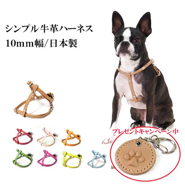 ハーネス 犬 おしゃれ 安全帯 小型犬 シンプル革ハーネス１０mm幅ｓサイズ Buyee Buyee Japanese Proxy Service Buy From Japan Bot Online