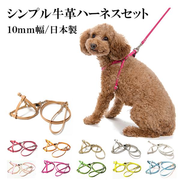 ハーネス 犬 おしゃれ 安全帯 小型犬 シンプル革ハーネス１０mm幅 リード付 ｓサイズ Buyee Buyee Japanese Proxy Service Buy From Japan Bot Online