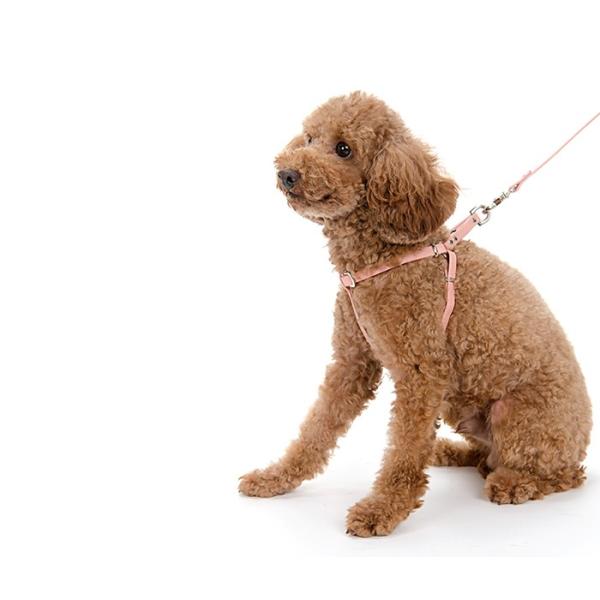 ハーネス 犬 おしゃれ 安全帯 小型犬 シンプル革ハーネス１０mm幅 リード付 ｓサイズ Buyee Buyee Japanese Proxy Service Buy From Japan Bot Online