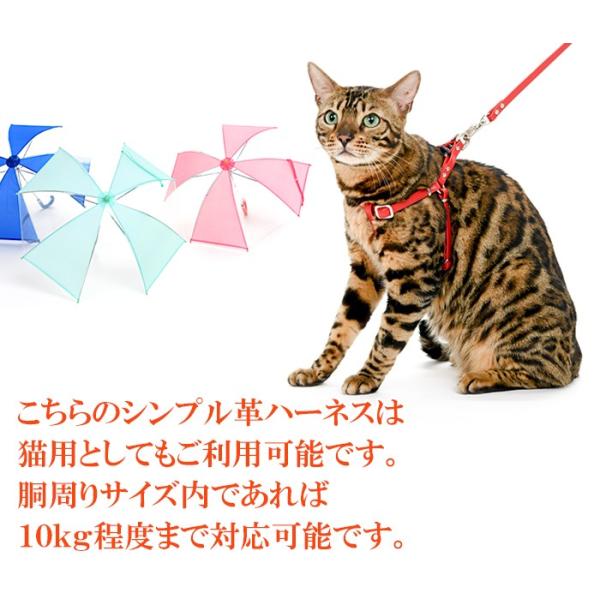 ハーネス 犬 おしゃれ 安全帯 小型犬 名前入り シンプルハーネス１０mm幅 リード付 ｓサイズ Buyee Buyee Japanese Proxy Service Buy From Japan Bot Online