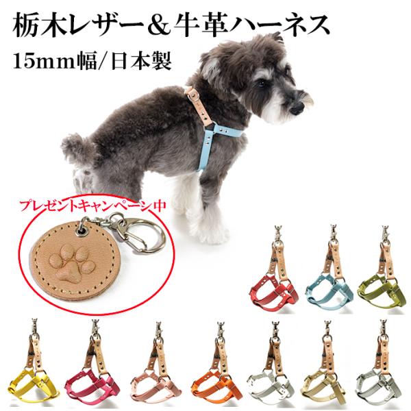 ハーネス 犬 おしゃれ 安全帯 小型犬 いぬ 猫 ねこ 革 レザー犬の革ハーネス　職人仕立てのオリジナルレザー　メール便送料無料