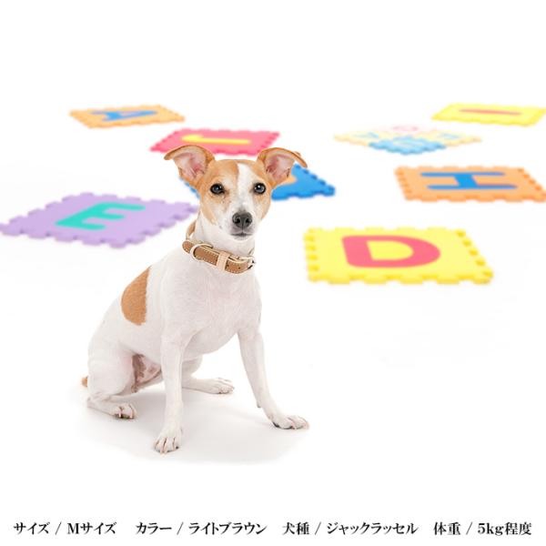 犬首輪おしゃれ革小型犬中型犬犬首輪犬の首輪シンプルベーシック首輪 Buyee Buyee 提供一站式最全面最專業現地yahoo Japan拍賣代bid代拍代購服務