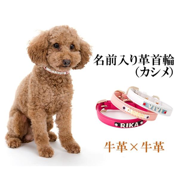 犬首輪名前入りおしゃれ革小型犬中型犬犬首輪犬の首輪カシメ Buyee Buyee 提供一站式最全面最專業現地yahoo Japan拍賣代bid代拍代購服務