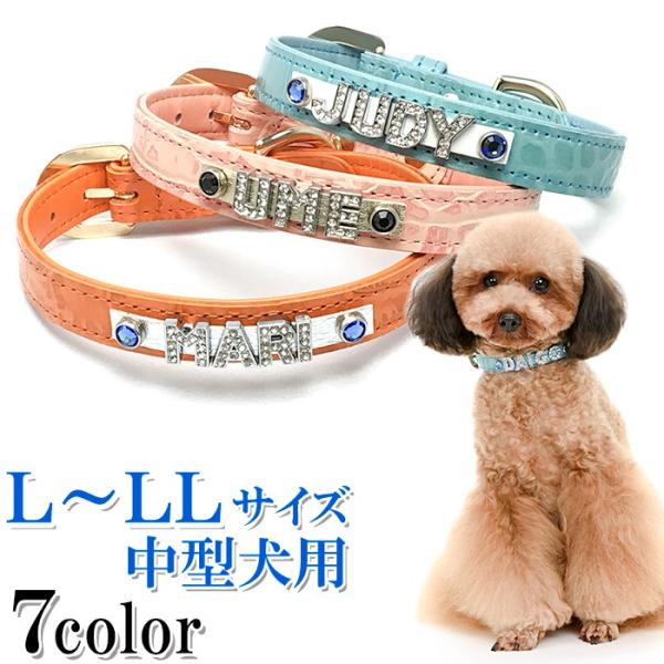   O  v ^  ̎ NR_C^փCXg[