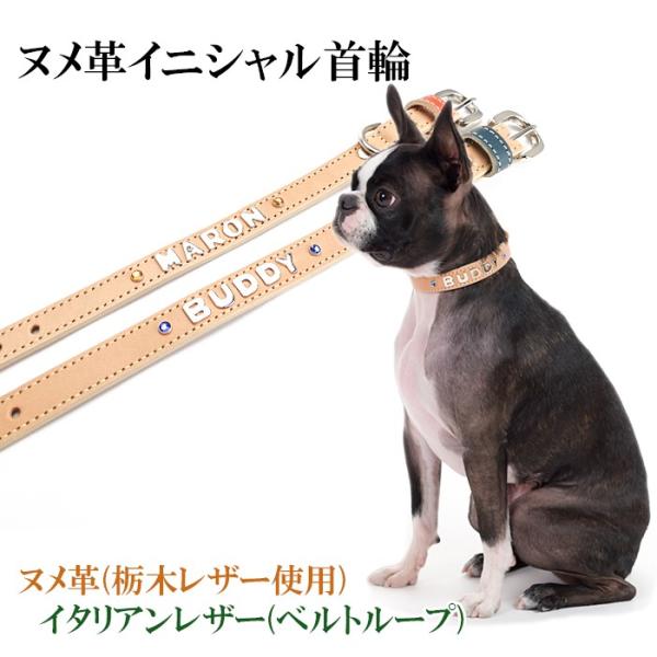 犬 首輪 名前入り おしゃれ 革 小型犬 中型犬 犬首輪 犬の首輪 ヌメ革カシメイニシャル首輪 Buyee Buyee 提供一站式最全面最專業現地yahoo Japan拍賣代bid代拍代購服務 Bot Online