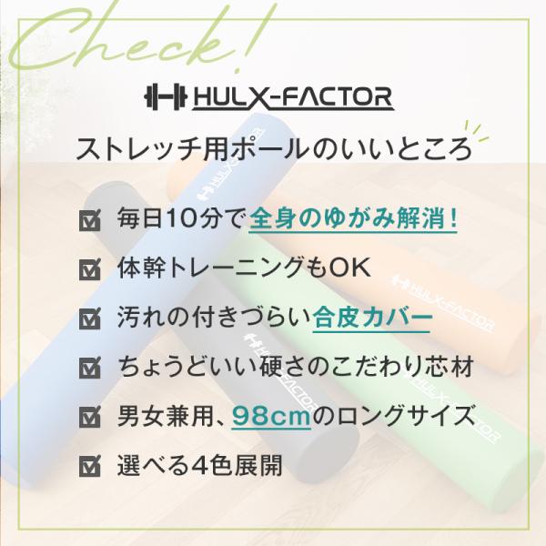 �X�g���b�`�p�|�[�� �n���N�t�@�N�^�[ �����O 98cm �ؖ������[�X �t�H�[�����[���[ ���K�|�[�� �G�N�T�T�C�Y �̊��g���[�j���O ���ϋv�f�� �ω׏d150kg ���i�摜3