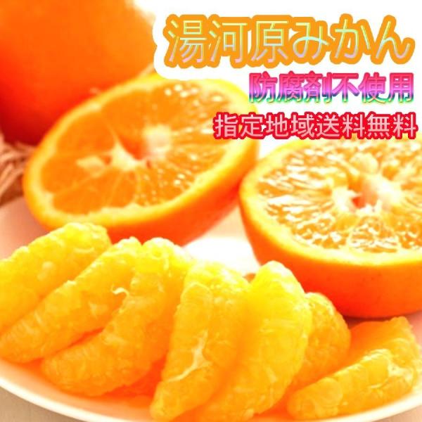 みかん 10kg????ご家庭用 訳あり 不選別 湯河原みかん 10キロ. 2mprp9VSgZ, 食品/飲料/酒 - bdreamers.com みかん 10kg????ご家庭用 訳あり 不選別 湯河原みかん 10キロ. 2mprp9VSgZ, 食品/飲料/酒 - bdreamers.com
