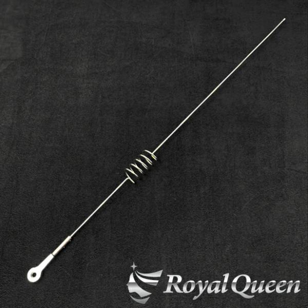 Queen  ラジオ当選品 csoprime_ant-mini-tr750-rqan8