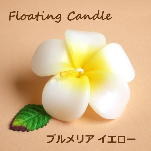 vACG[ t[eBOLh 12 ɕԃLh nCA썑