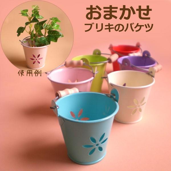 おまかせブリキのミニバケツ / 無料ラッピンググッズ 退職お礼お返し
