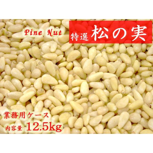 松の実 業務用12.5kg