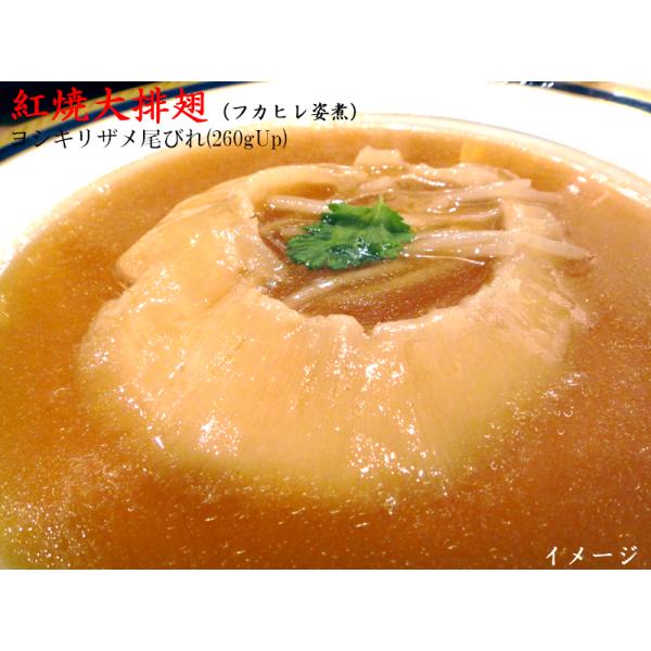 フカヒレ ヨシキリザメ尾びれ 大（260gUp） 冷凍 業務用排翅 1枚