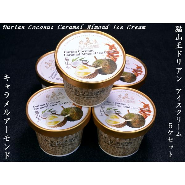 猫とアイスクリーム 500x0.jpg