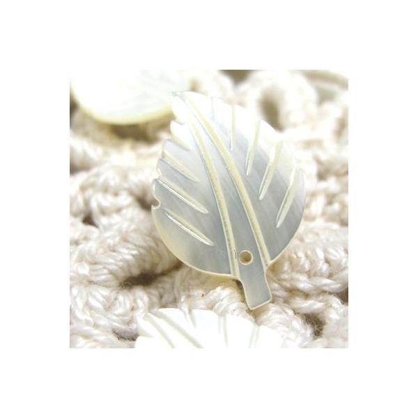 Lgp L p[c [tB 3 NX}X