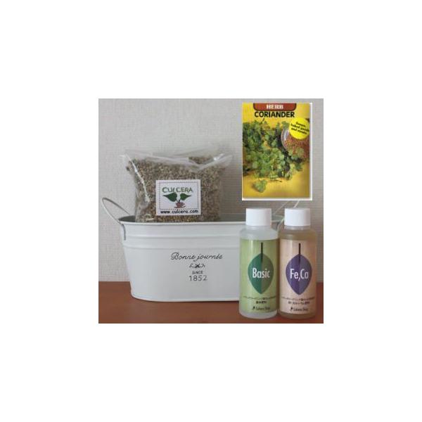 コリアンダー パクチーの栽培セット豊作セット 液体肥料付き プランターホワイト Buyee Buyee Japanese Proxy Service Buy From Japan Bot Online