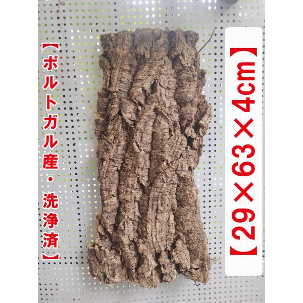 B535　高品質ポルトガル産 厚め コルク樹皮 コルク板　バージンコルク チランジア　ビカクシダ　着生ラン　両生類　爬虫類