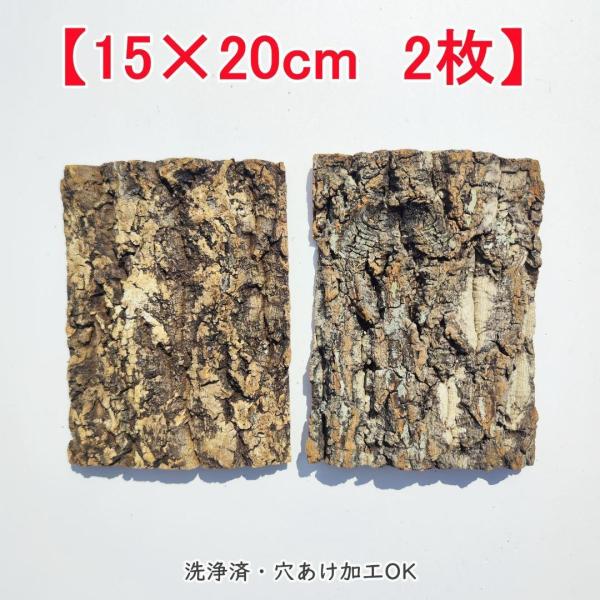 コルク コルク板 板付け 大型 樹皮素材 3点の セットです。 コルク コルク板 板付け 大型 樹皮素材 3点の セットです