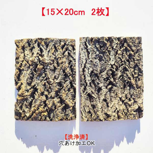 c3303　2枚セット　15×20cm　コルク樹皮　コルク板　穴あけ加工可　チランジア　ビカクシダ　着生ラン　両生類　爬虫類　鳥用おもちゃ