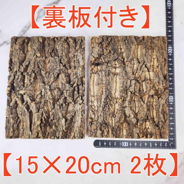 2枚セット 15×20cm 裏板付き コルク樹皮 コルク板 バージン