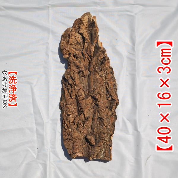c7086 お買得品 洗浄済 コルク樹皮 コルク板 水槽用 チランジア ビカクシダ 着生ラン 両生爬虫類 大人気