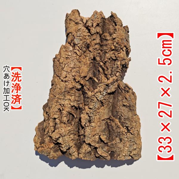 c7116  お買得品 洗浄済 コルク樹皮 コルク板  水槽用 チランジア ビカクシダ 着生ラン 両生爬虫類 大人気