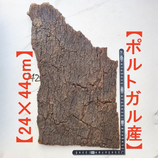 c742 ポルトガル産24×44cm コルク樹皮 コルク板 バージンコルク 送料