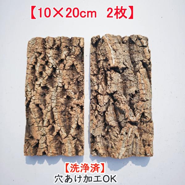 c8004　2枚セット　10×20cm　コルク樹皮　コルク板　穴あけ加工可　チランジア　ビカクシダ　着生ラン　両生類　爬虫類　鳥用おもちゃ