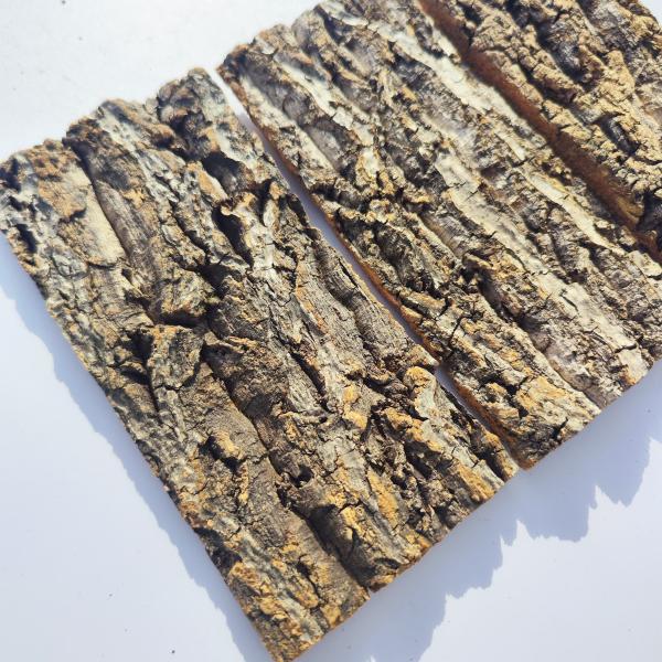 ���C���@10�~20cm�@�R���N����@�R���N�@�o�[�W���R���N�@�`�����W�A�@�r�J�N�V�_�@���������@�����@঒��ށ@�R�E�������� ���i�摜4
