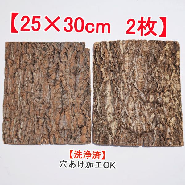 c9032　25×30cm　2枚　コルク樹皮　コルク板　穴あけ加工可　チランジア　ビカクシダ　着生ラン　両生類　爬虫類　鳥用おもちゃ