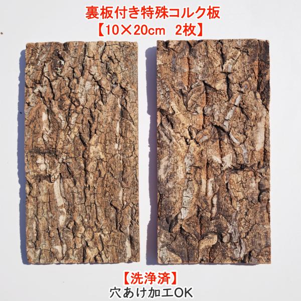 CB112　裏板付き特殊コルク板10×20cm　2枚　コルク樹皮　バージンコルク　洗浄済　チランジア　ビカクシダ　着生ラン　両生類　爬虫類